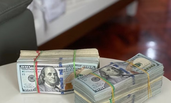 从理论到实操的CC项目全面教学